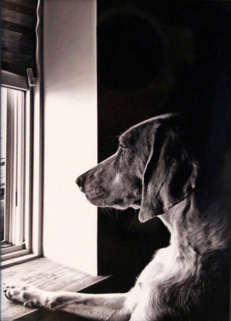 6th Annual Exhibit Watching & Waiting