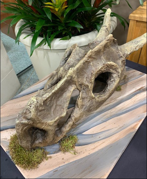 14th Annual Exhibit Fossil