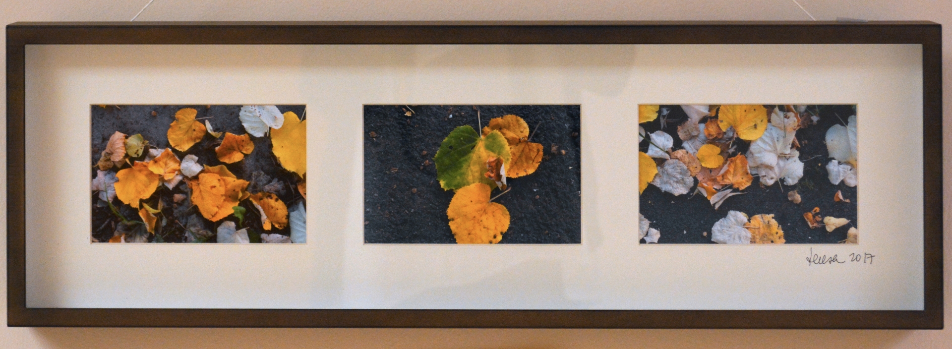 13th Annual Exhibit Fall