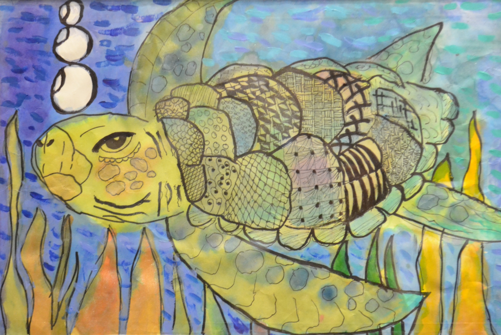 7th Annual Exhibit Turtle Time