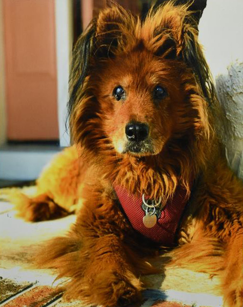 8th Annual Exhibit Winnie