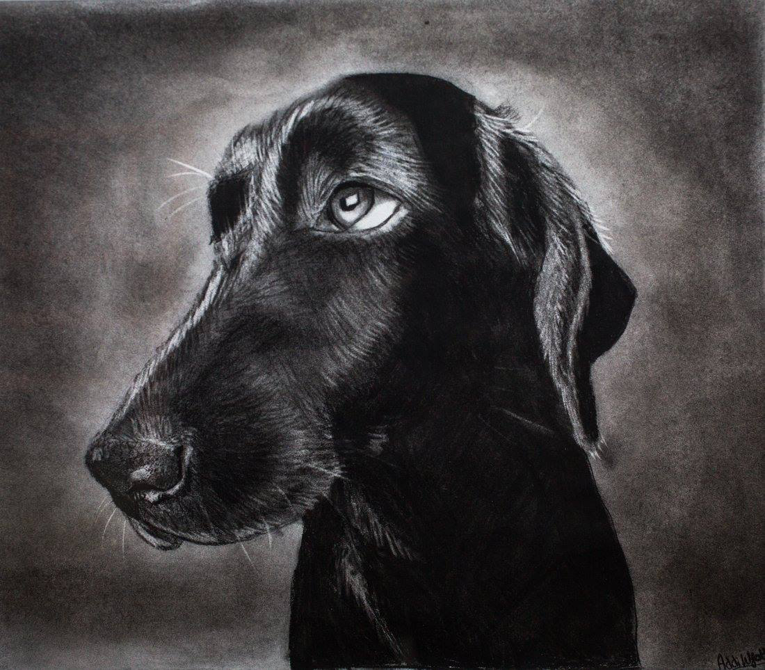 4th Annual Exhibit Old Boy