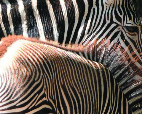 1st Annual Exhibit Eye on the Child