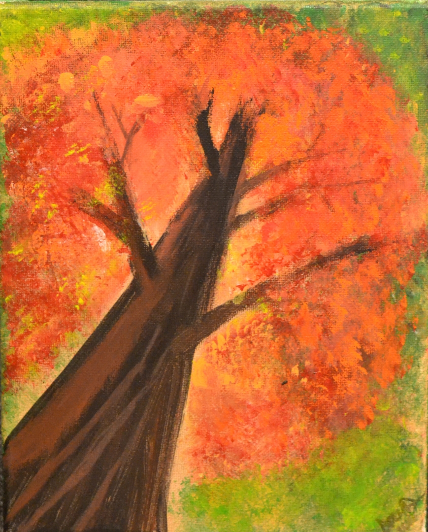 11th Annual Exhibit Tree Gazing