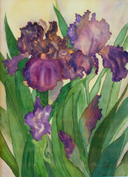 10th Annual Exhibit Purple Irises