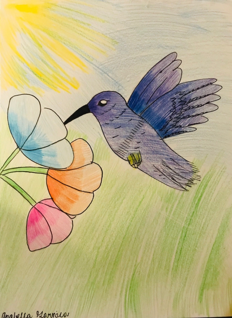 12th Annual Exhibit Midflight