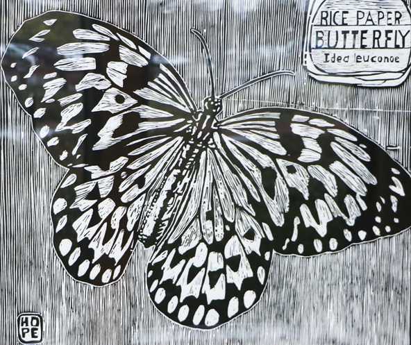 16th Annual Exhibit Rice Paper Butterfly