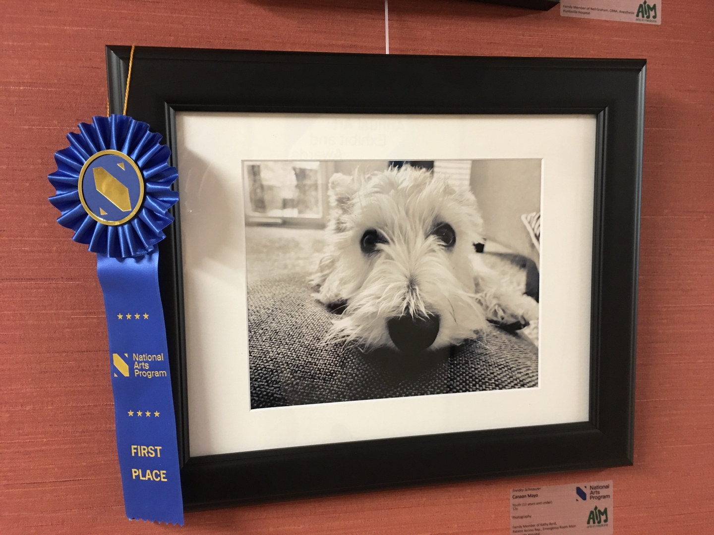 3rd Annual Exhibit Sneaky Schnauzer