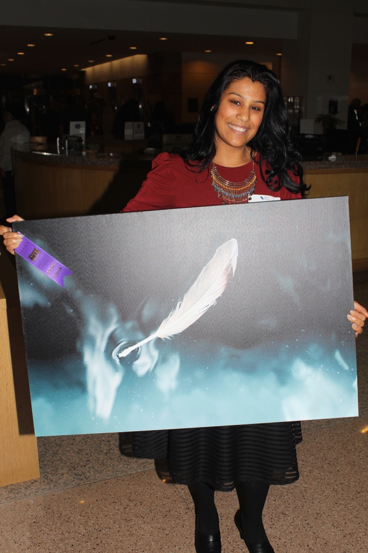 19th Annual Exhibit Feathered Dream