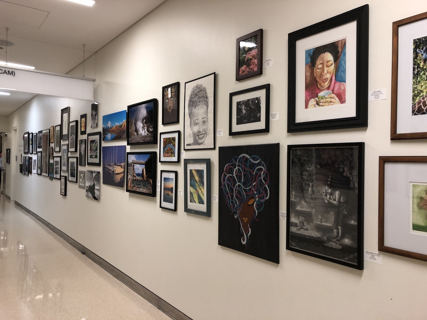 14th Annual Exhibit The largest show on record for UChicago filled the hospital hallways