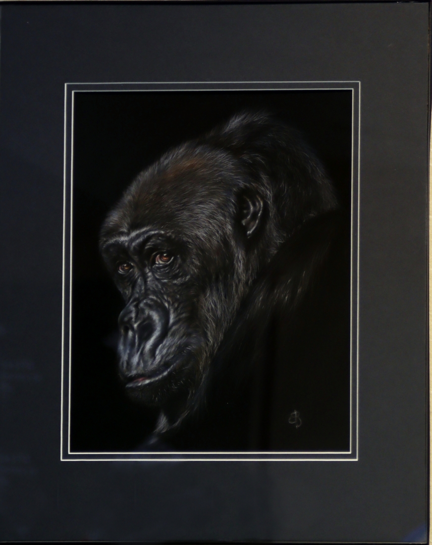 12th Annual Exhibit Kala