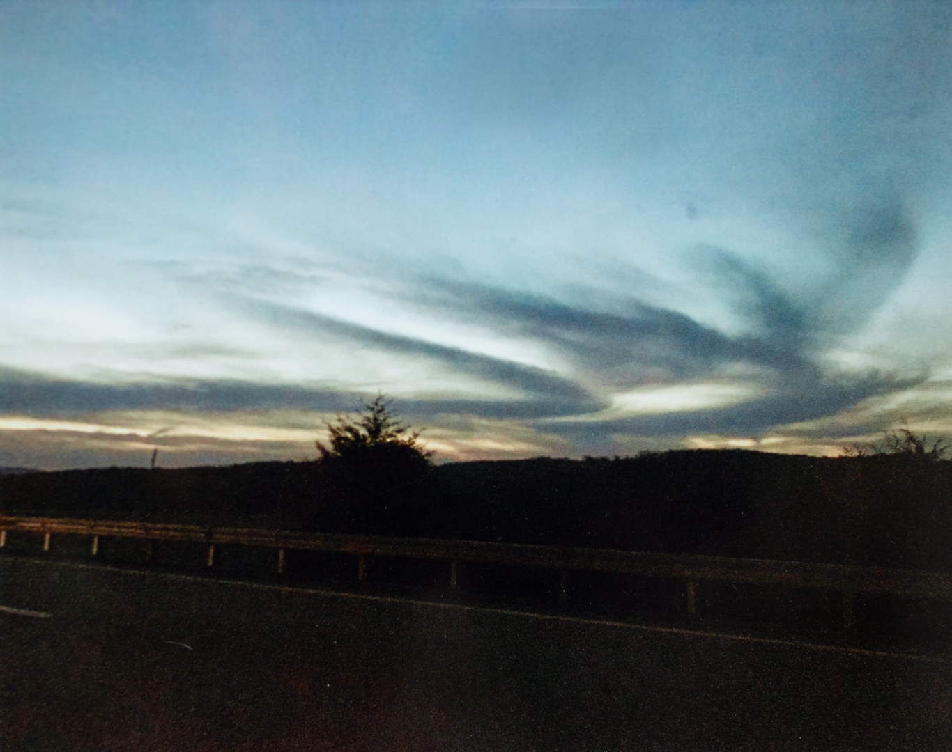 6th Annual Exhibit Morning Dove