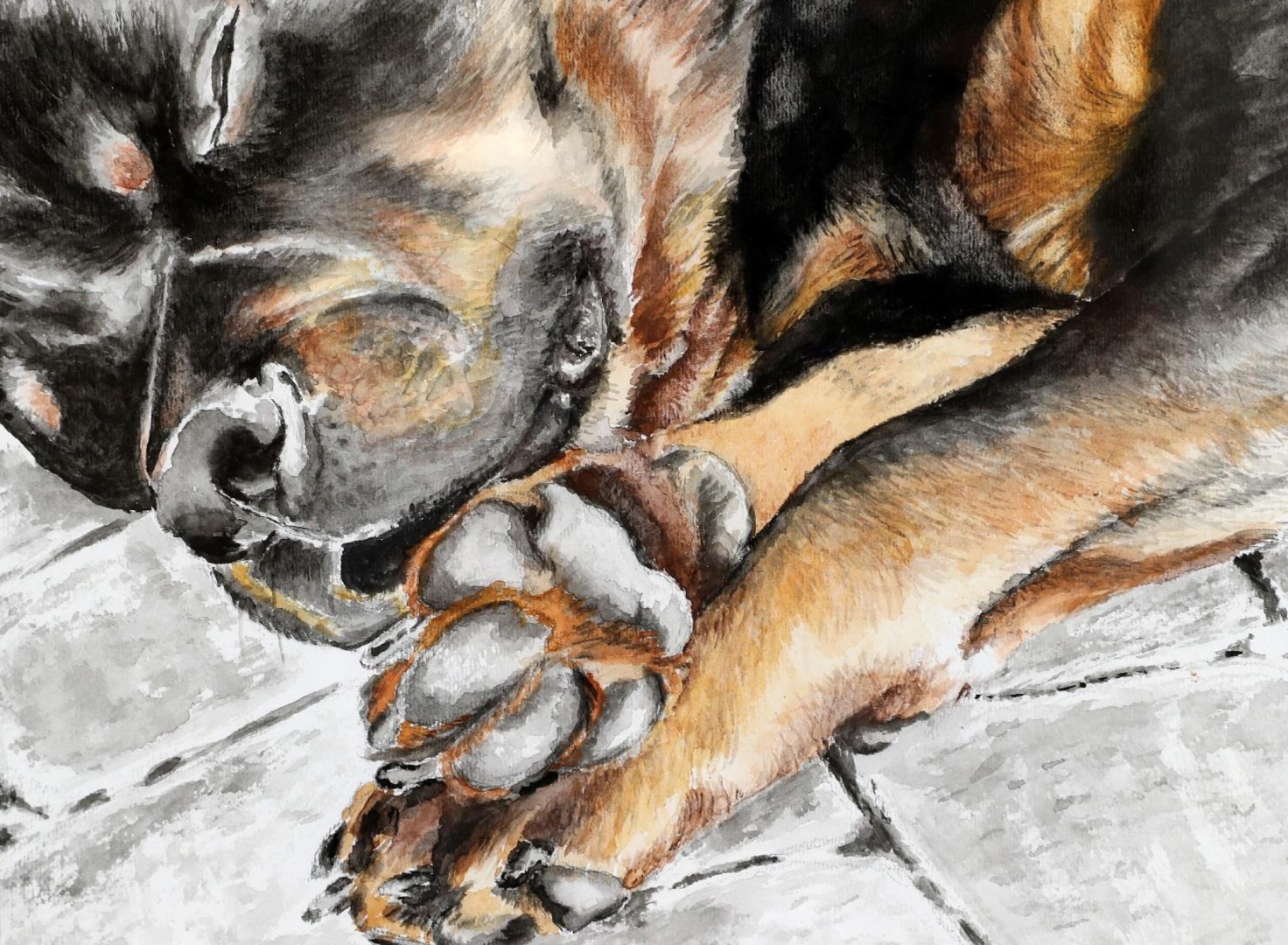 5th Annual Exhibit Let the Sleeping Dog Lie