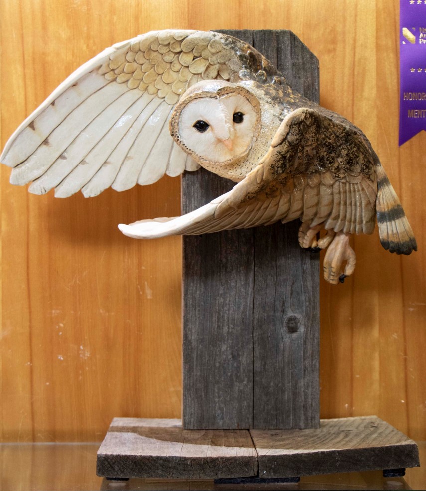 17th Annual Exhibit Barn Owl in Flight