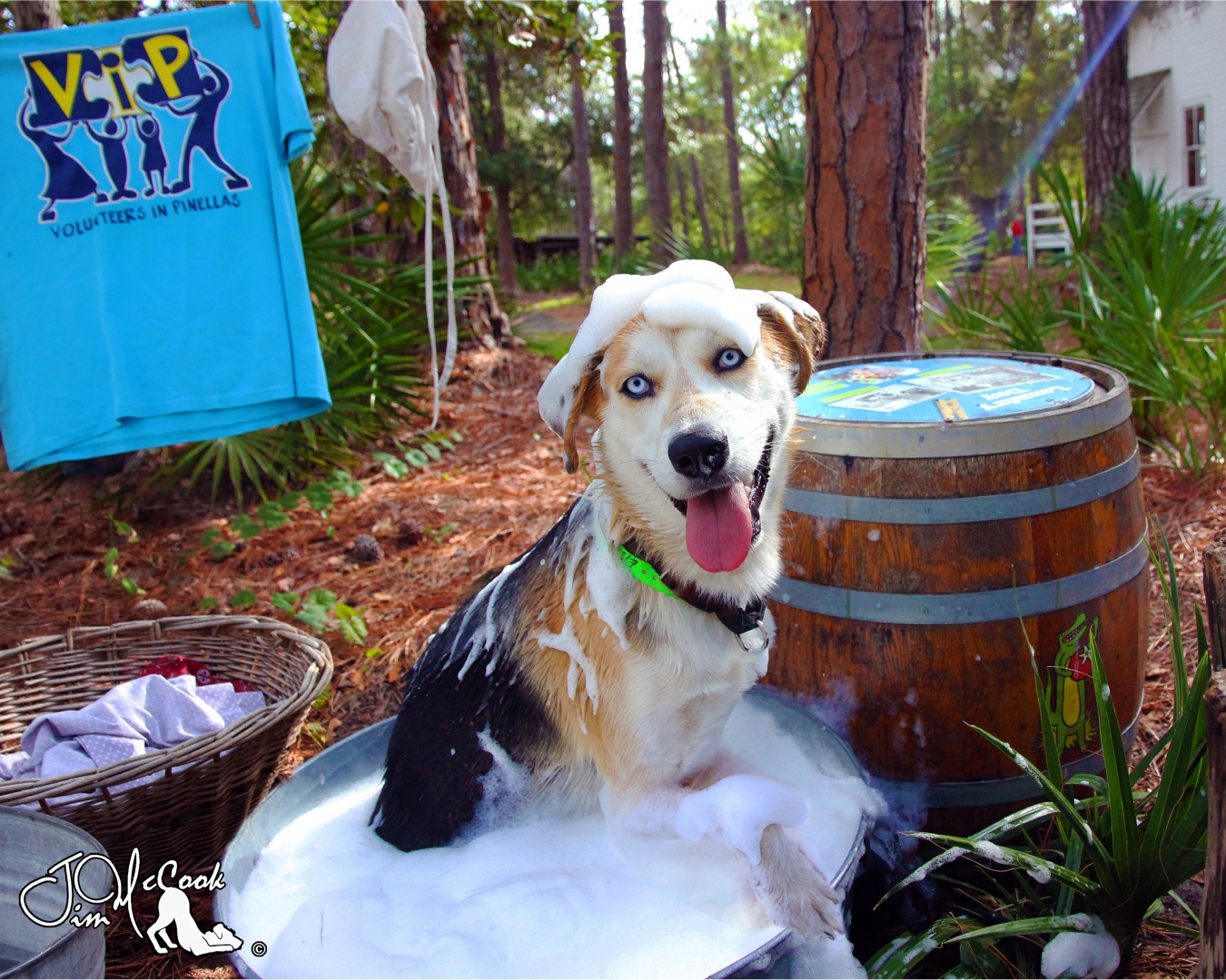 11th Annual Exhibit Juno