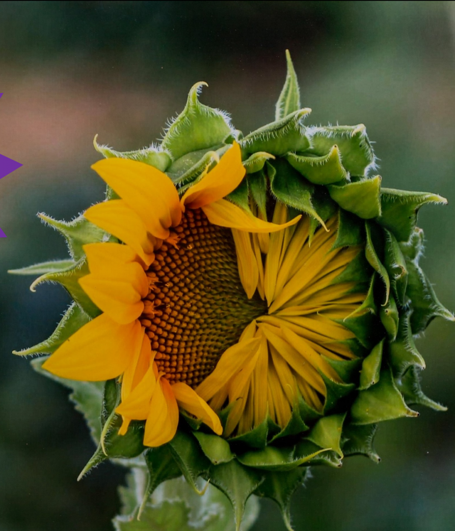 7th Annual Exhibit My Daily Personality