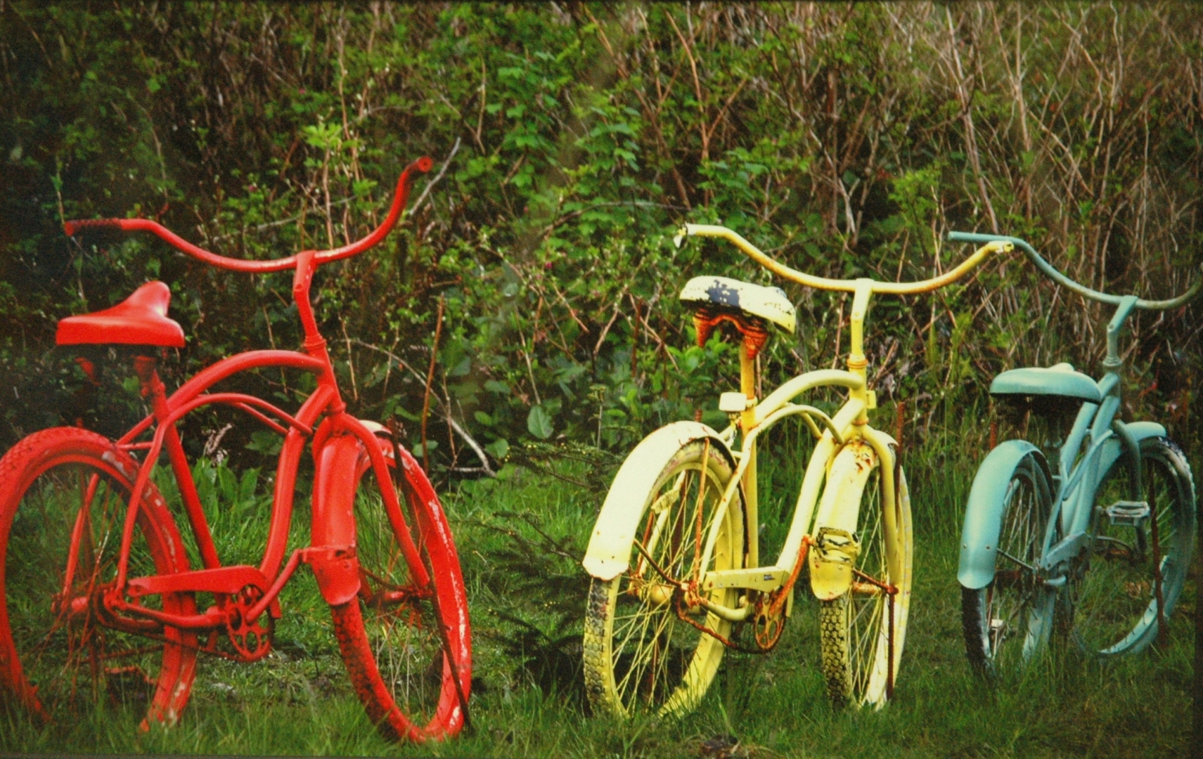 14th Annual Exhibit Old Timers