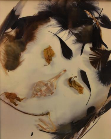 10th Annual Exhibit Organic Portrait