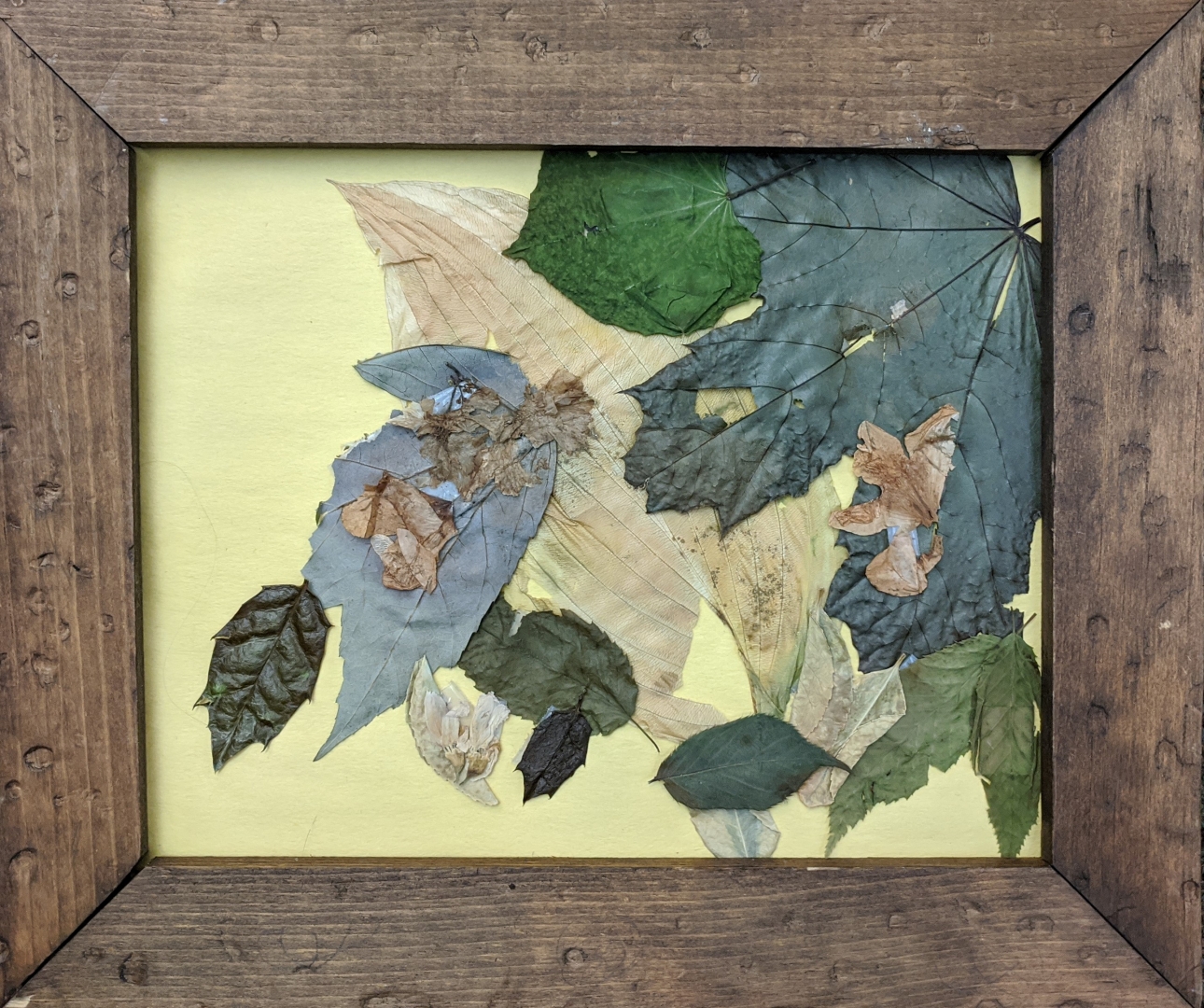 20th Annual Exhibit Fall