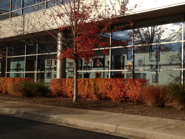 2nd Annual Exhibit A sneak peak at this year's NAP exhibit at Adventist Midwest Health.