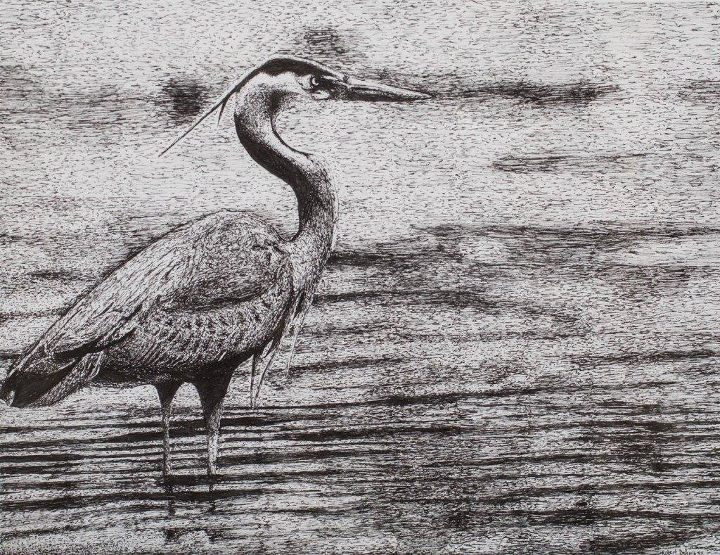 1st Annual Exhibit Great Blue Heron