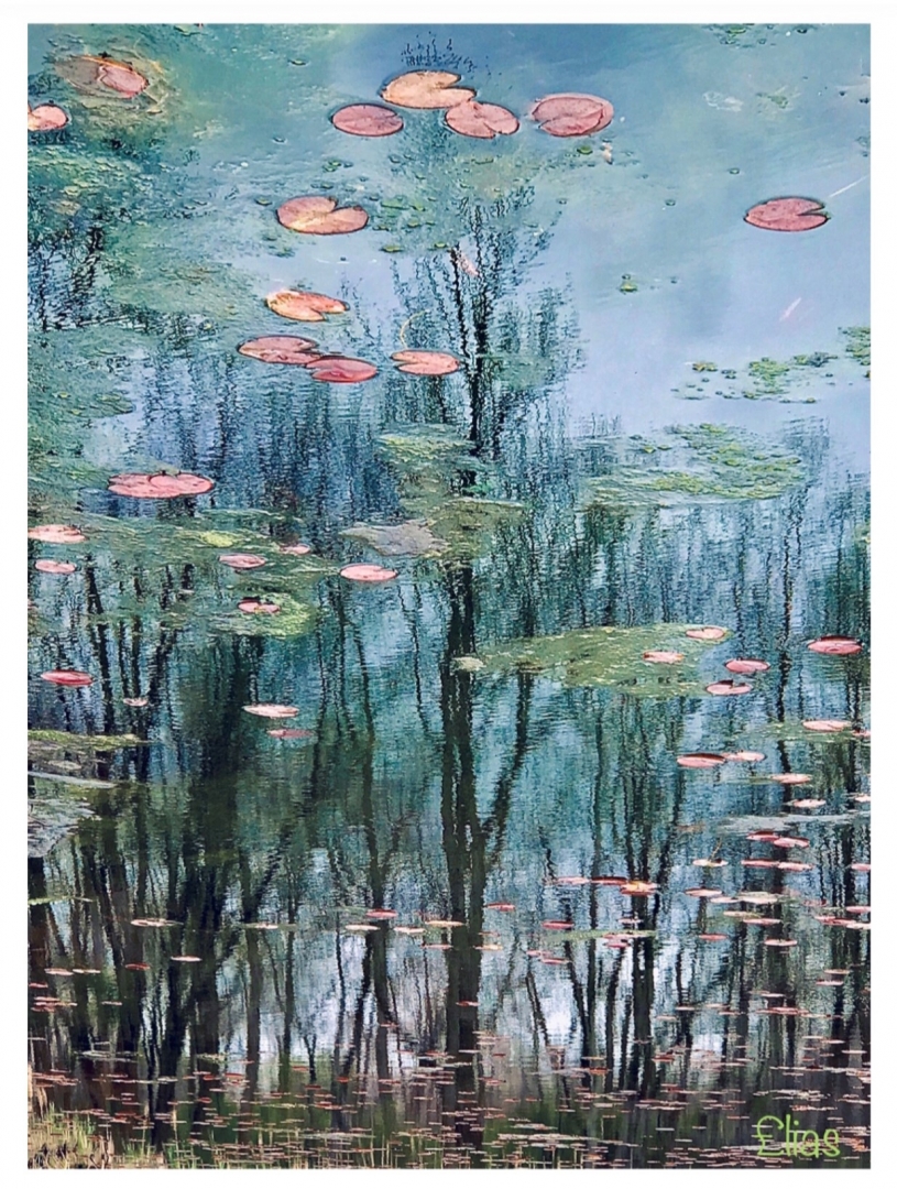 13th Annual Exhibit I was lost then I was found