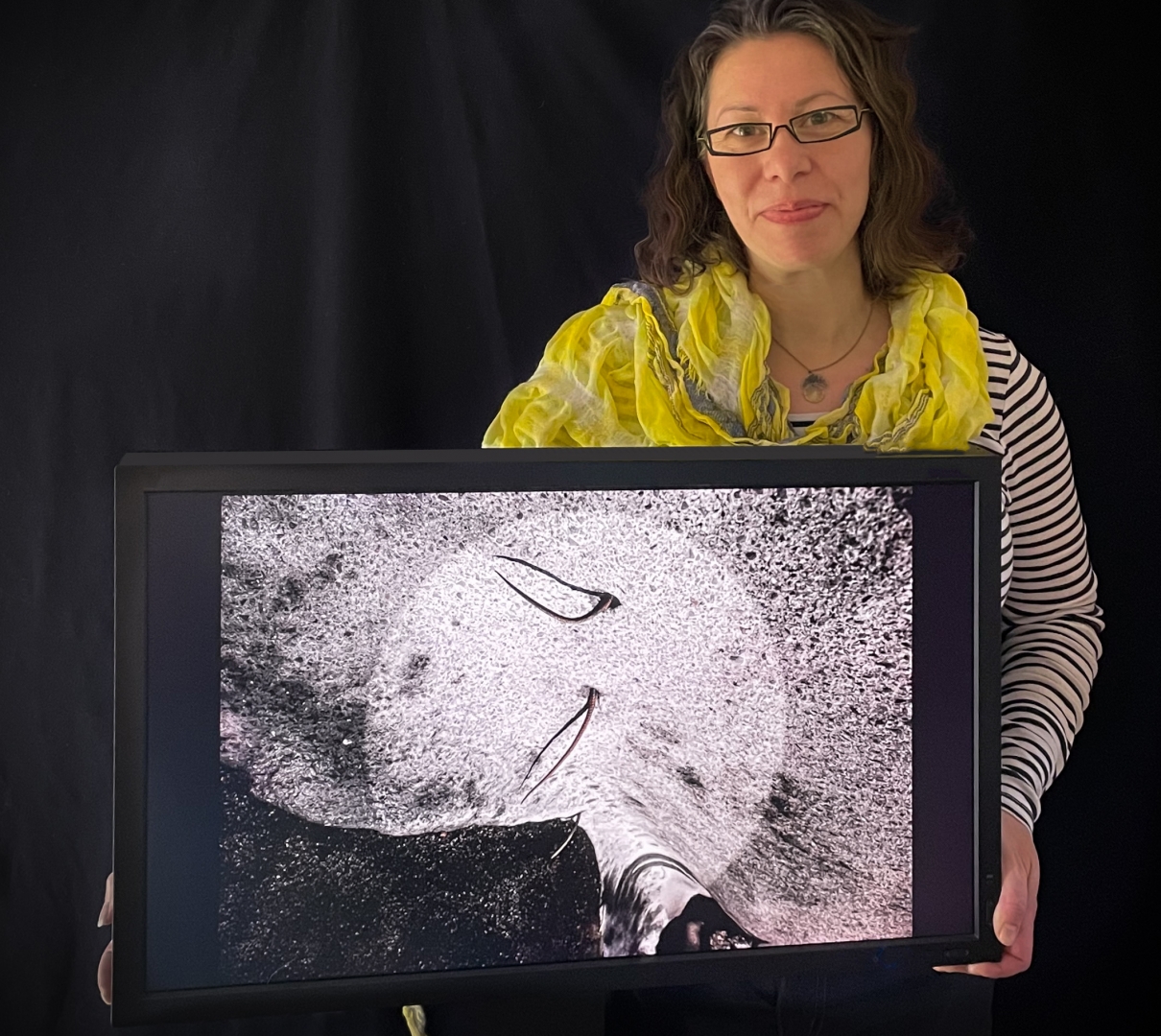 18th Annual Exhibit Discovery