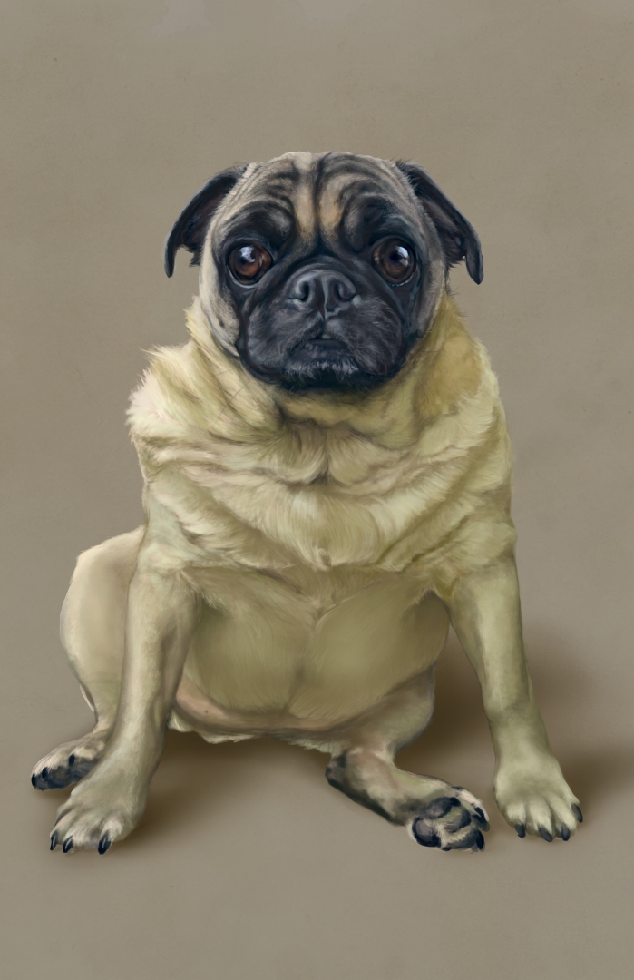 11th Annual Exhibit Meatball