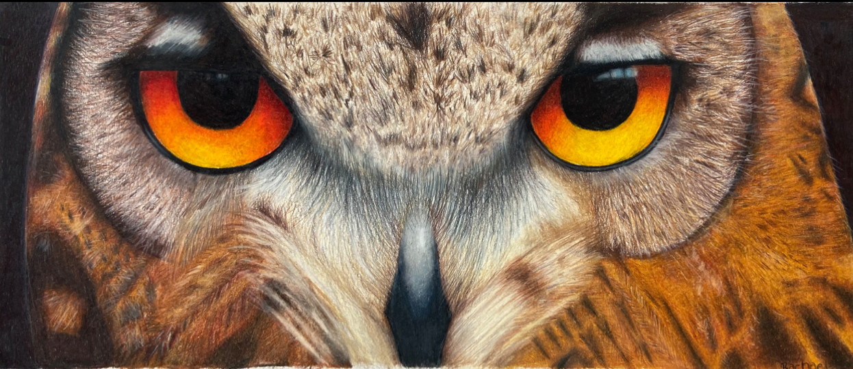 8th Annual Exhibit Why do I feel like somebody's watching me?