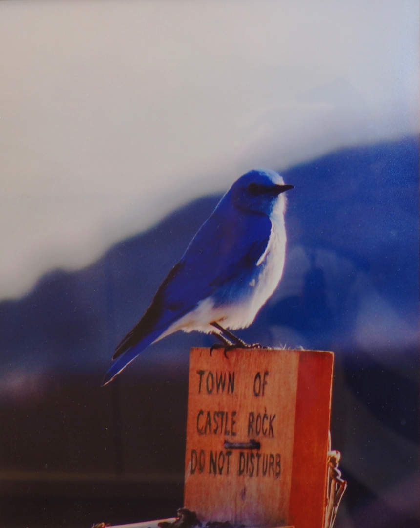 11th Annual Exhibit Do Not Disturb