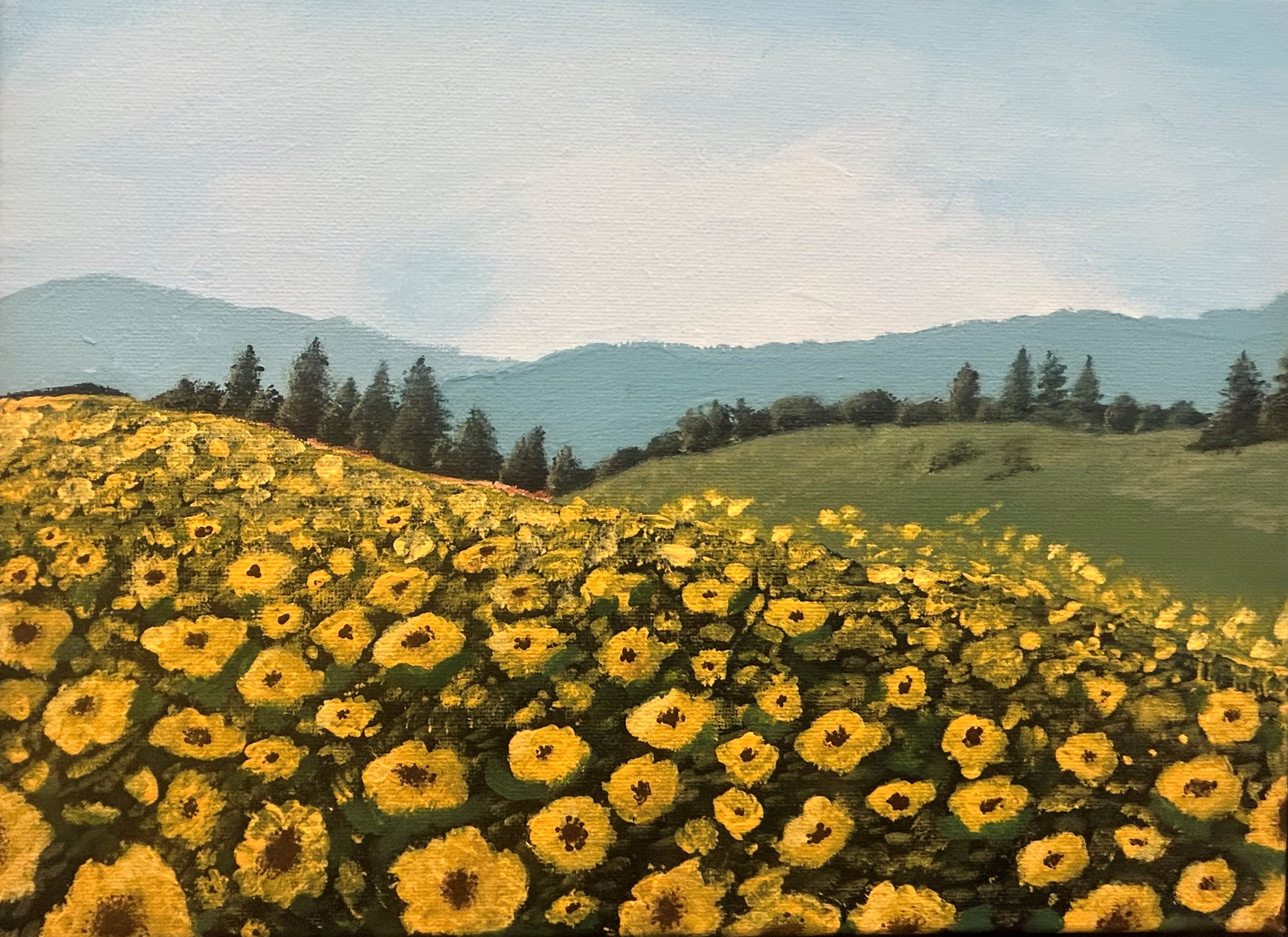 Fields of Gold