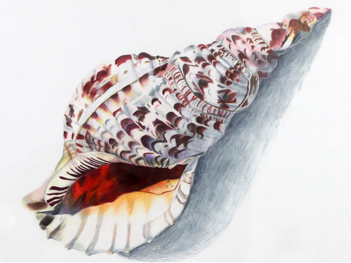 5th Annual Exhibit The Speaker of Seas