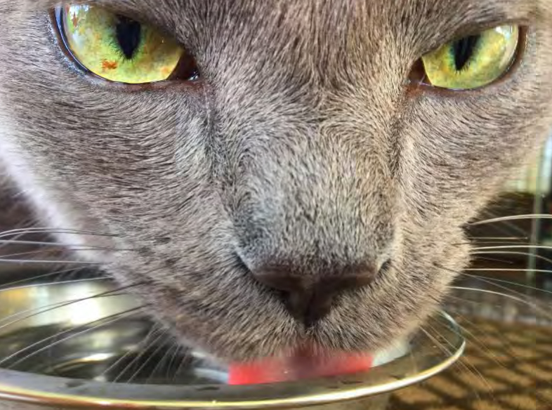 10th Annual Exhibit Untitled