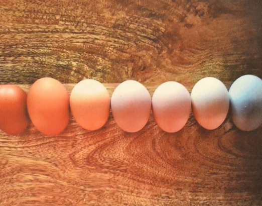 12th Annual Exhibit We Are All the Same on the Inside