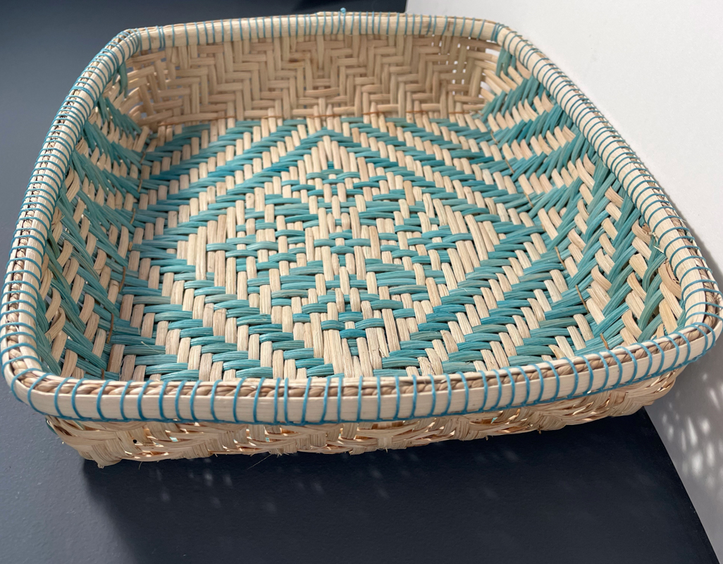 10th Annual Exhibit Luna Moth Tray