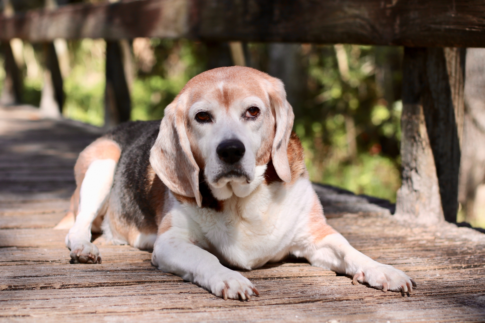 12th Annual Exhibit Saying Goodbye