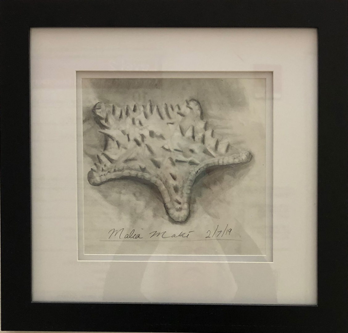 14th Annual Exhibit Starfish